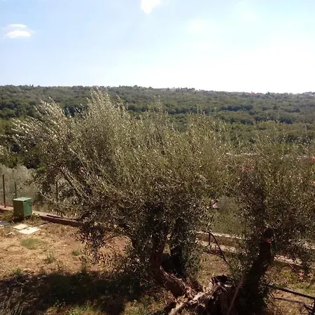 V Klancu *